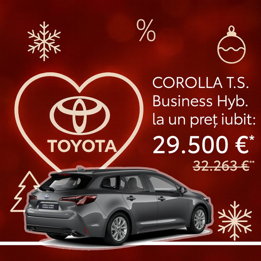 Corolla TS_iarna