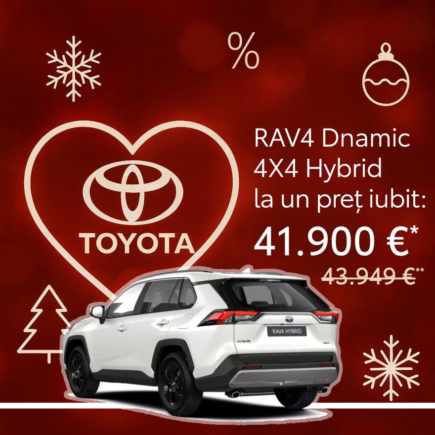 RAV4_iarna